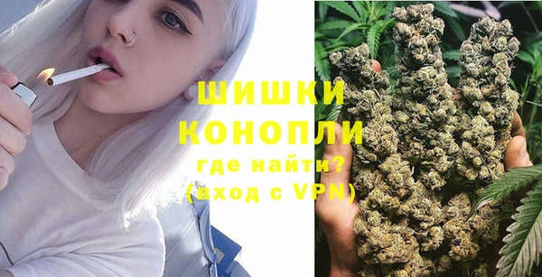шишки Вязьма