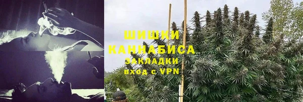 шишки Вязьма