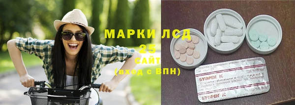 шишки Вязьма